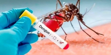 Alerta dengue: confirmaron el primer caso positivo en Maciel