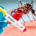 Alerta dengue: confirmaron el primer caso positivo en Maciel