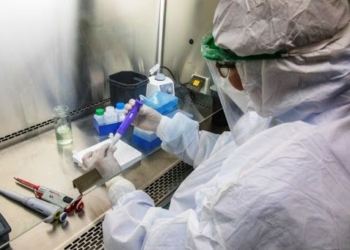 Son 115 los muertos en la Argentina por coronavirus y más de 600 se recuperaron