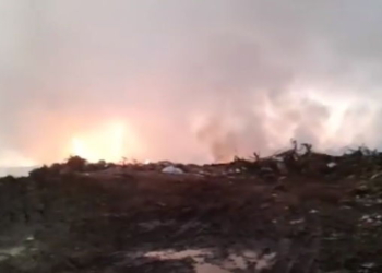 Denuncian incendios intencionales en el basural de Salto Grande