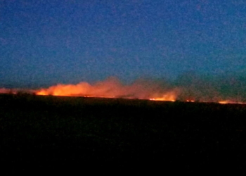 Incendio de pastizales afectó 120 hectáreas y convocó a varios cuarteles de la región