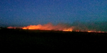 Incendio de pastizales afectó 120 hectáreas y convocó a varios cuarteles de la región