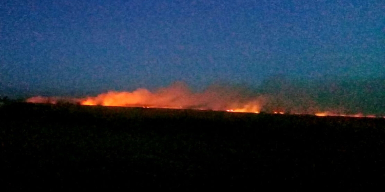 Incendio de pastizales afectó 120 hectáreas y convocó a varios cuarteles de la región