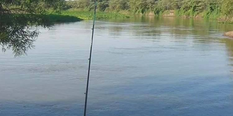 Detuvieron a una familia que fue a pasar el día a la isla en plena cuarentena