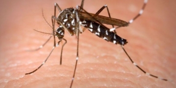 Más de 1500 casos de dengue confirmados en la provincia