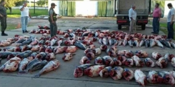 Piden que se decrete la veda total de la pesca comercial y deportiva