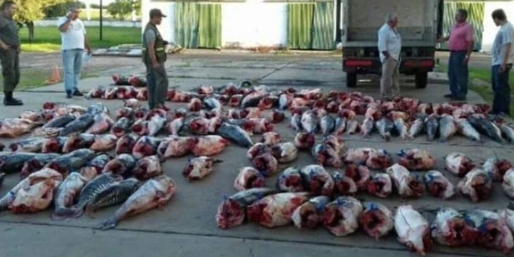 Piden que se decrete la veda total de la pesca comercial y deportiva