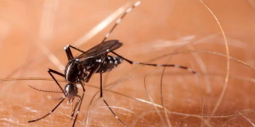 La macielense hospitalizada por dengue fue dada de alta: «Hay que tomar conciencia»