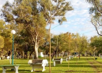 Puerto Aragón: apuestan a la reforestación en el camping y balneario