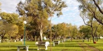 Puerto Aragón: apuestan a la reforestación en el camping y balneario