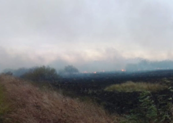 Bomberos trabajaron en otro incendio sobre la cañada entre San Genaro y Díaz