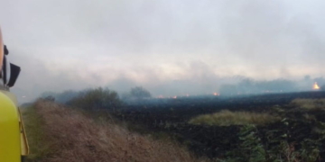 Bomberos trabajaron en otro incendio sobre la cañada entre San Genaro y Díaz