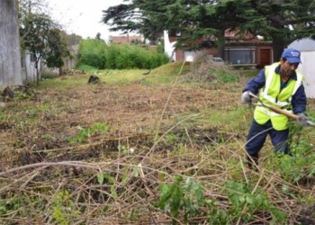Habilitan el ingreso de visitantes a Gaboto para la limpieza de viviendas