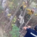 Bomberos rescataron a un caballo que cayó a un canal y quedó atrapado