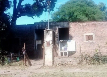 Díaz: buscan a la gatita que era de “Lele” y temen que la hayan robado