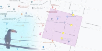 Totoras: delimitaron una zona de recorrido del tucán para rescatarlo y liberarlo
