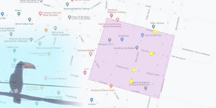 Totoras: delimitaron una zona de recorrido del tucán para rescatarlo y liberarlo