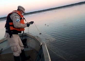 Decomisaron 50 sábalos y 40 kilos de carpincho en Gaboto: tres sancionados