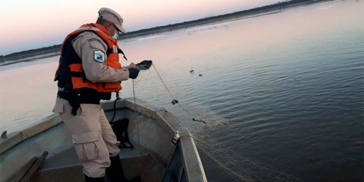 Decomisaron 50 sábalos y 40 kilos de carpincho en Gaboto: tres sancionados