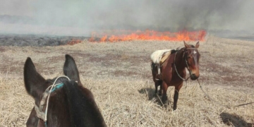 Hay 12 focos activos frente a Gaboto: «La situación es alarmante»