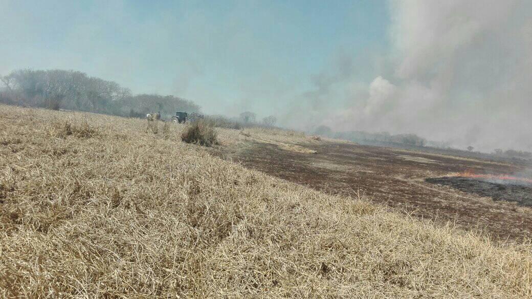 Hay 12 focos activos frente a Gaboto: «La situación es alarmante»