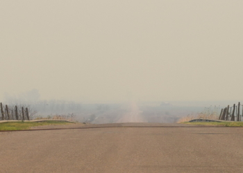 Irrespirable: Maciel y la región bajo el humo de islas y campos