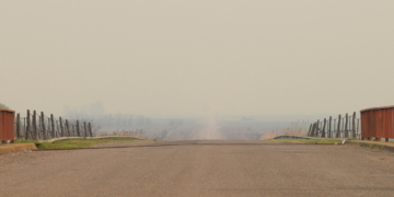 Irrespirable: Maciel y la región bajo el humo de islas y campos