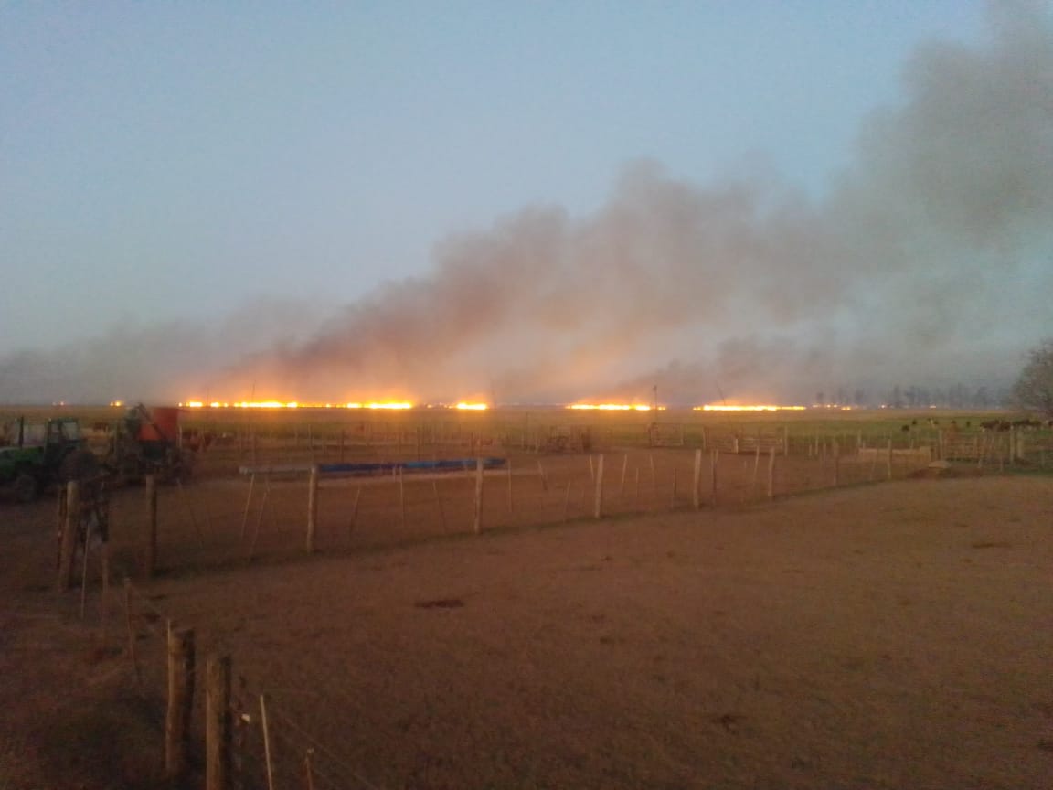 Al menos 600 hectáreas ardieron entre San Genaro y Clason