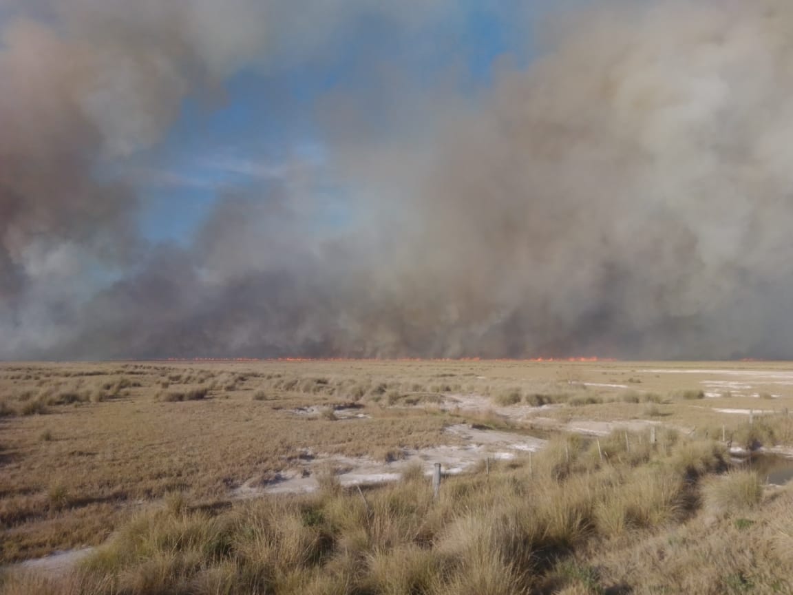 Al menos 600 hectáreas ardieron entre San Genaro y Clason