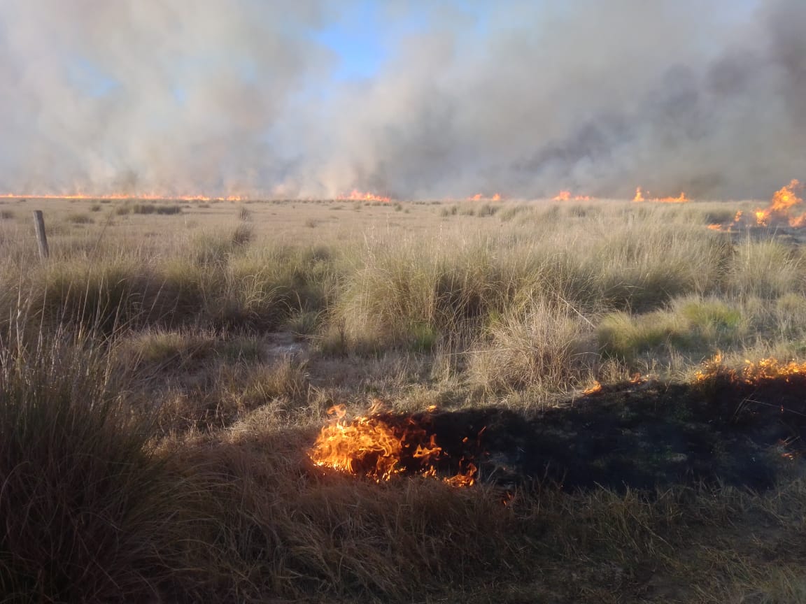Al menos 600 hectáreas ardieron entre San Genaro y Clason