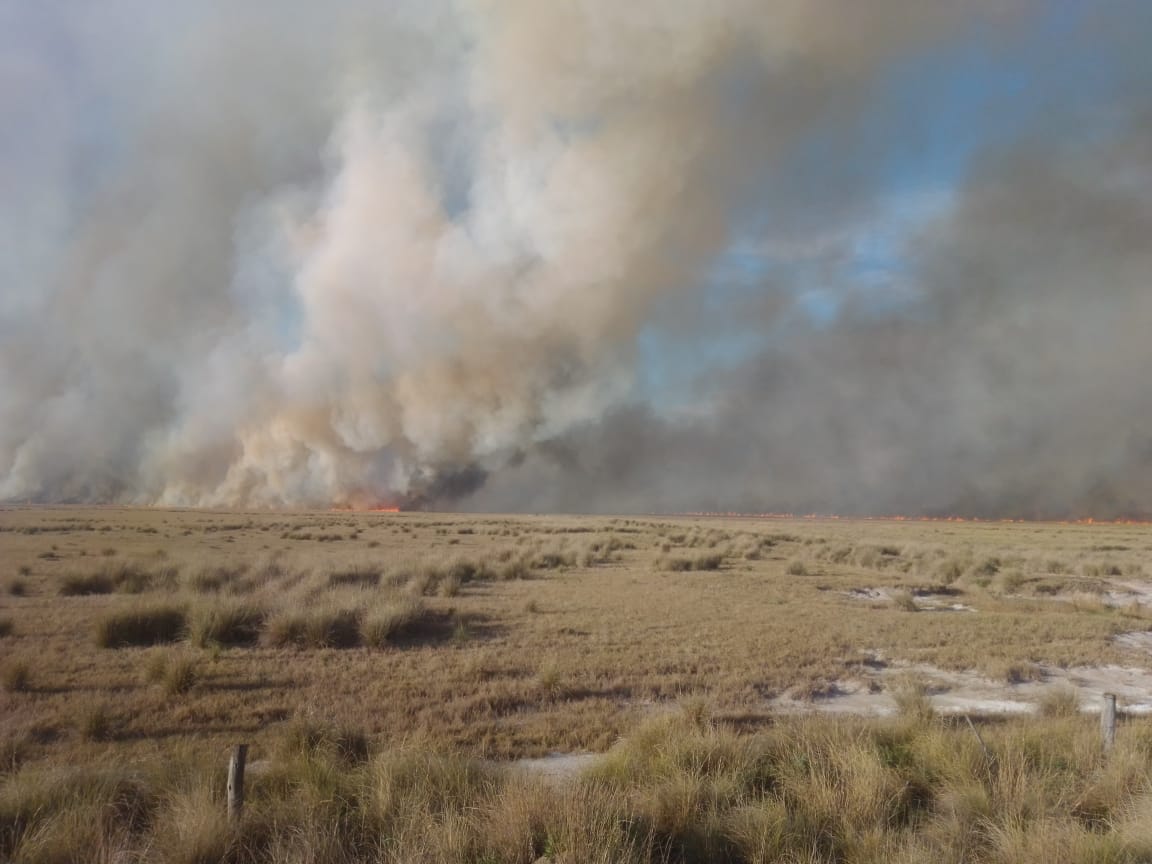 Al menos 600 hectáreas ardieron entre San Genaro y Clason