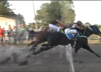 Díaz: 14 detenidos con intenciones de realizar una carrera de caballos