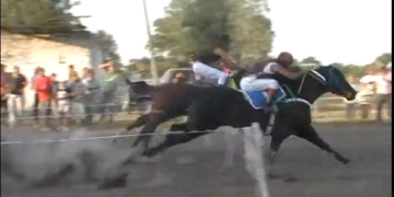 Díaz: 14 detenidos con intenciones de realizar una carrera de caballos