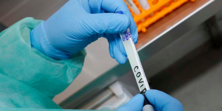 Barrancas, Irigoyen y Larrechea confirmaron nuevos casos