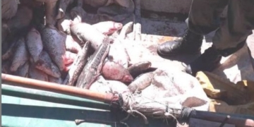 Decomisaron 170 pescados en la zona de islas frente a Monje y la región