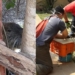 Bomberos rescataron una nutria en el patio de una vivienda