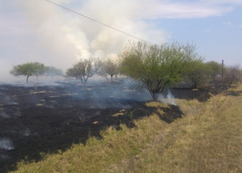 Autores desconocidos causaron un importante incendio en Puerto Aragón