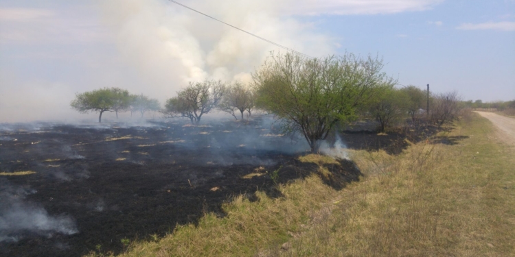 Autores desconocidos causaron un importante incendio en Puerto Aragón