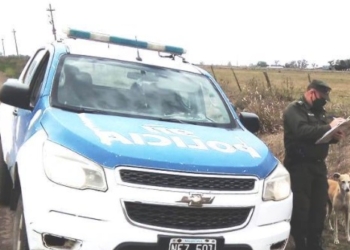 Cinco hombres sancionados por cazar sin habilitación en Maciel y Díaz