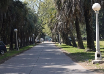 Internaron en la Colonia de Oliveros al hombre que agredió con brea a policías