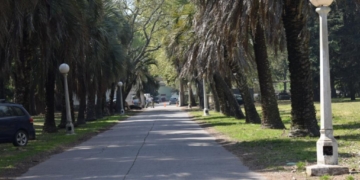 Internaron en la Colonia de Oliveros al hombre que agredió con brea a policías