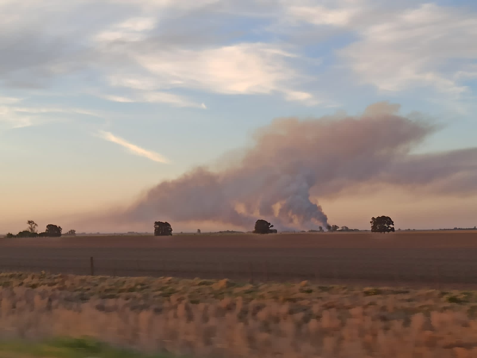 Ardieron más de 100 hectáreas entre Díaz y Clarke