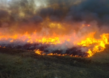 Ardieron más de 100 hectáreas entre Díaz y Clarke