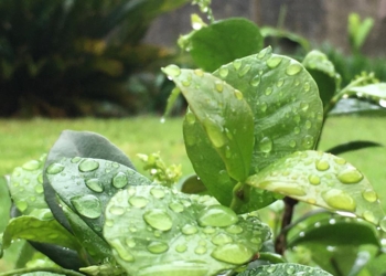 Datos de lluvia en el departamento San Jerónimo mientras se mantiene el alerta