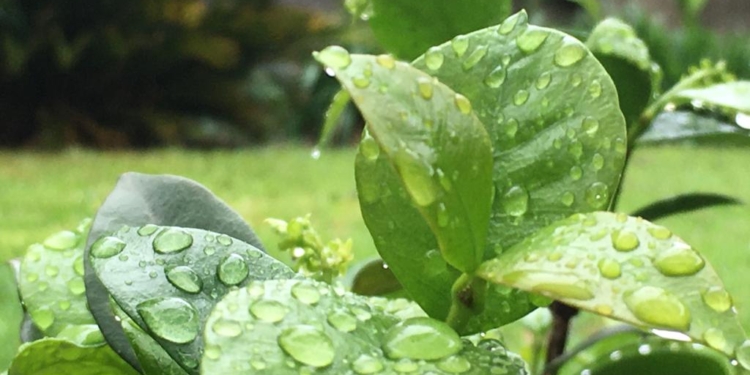 Datos de lluvia en el departamento San Jerónimo mientras se mantiene el alerta