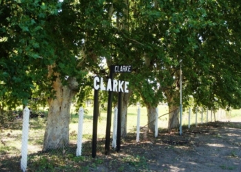 En aumento: Clarke sumó nuevos casos y ya son 18 activos