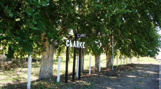 En aumento: Clarke sumó nuevos casos y ya son 18 activos