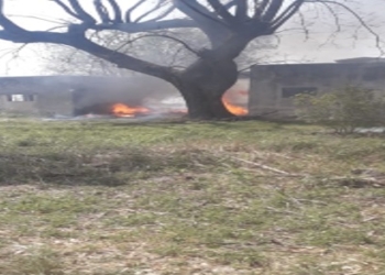 Un incendió afectó un depósito de colmenas y ardieron 100 cajones