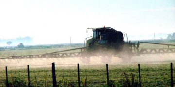 Intenso olor a agroquímicos afectó a vecinos de Gessler pese a que su uso está prohibido