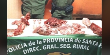 Faenaron una vaquilla y un ternero: un joven aprehendido
